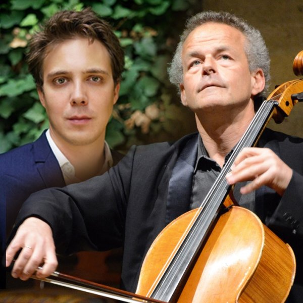 Un violoncelle sous les pins